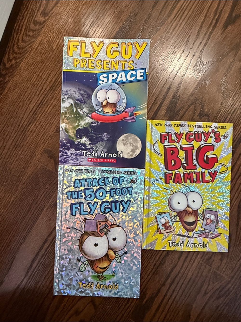 Fly Guy book bundle (3 books)